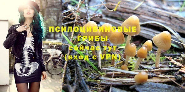 ALPHA-PVP Горнозаводск