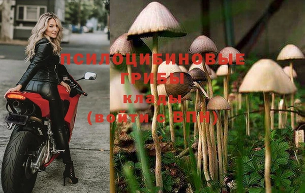 ALPHA-PVP Горнозаводск