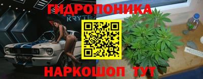 спиды Камышлов