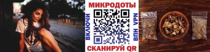 Галлюциногенные грибы Magic Shrooms мега сайт Нерюнгри закладка