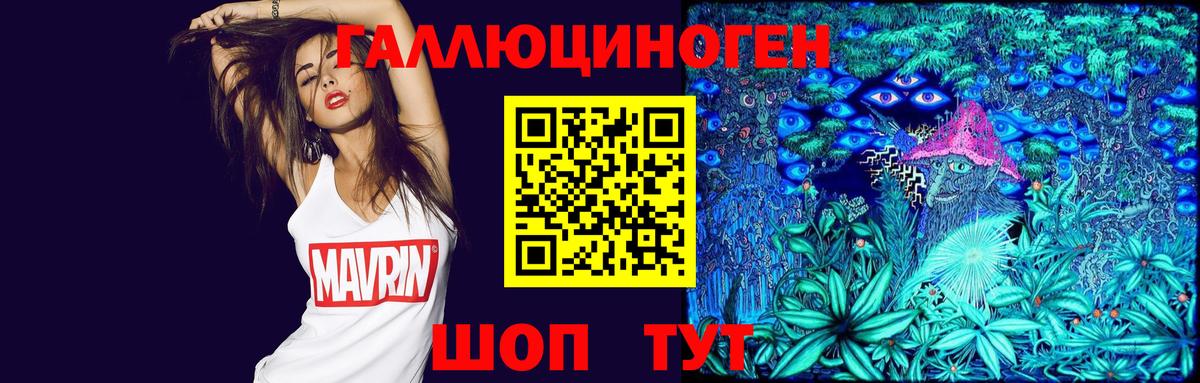 Псилоцибиновые грибы GOLDEN TEACHER Нерюнгри